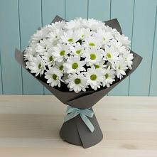 Букет цветов из:  Хризантемы в Магадане