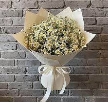 Букет цветов из:  Ромашки #REPLACE_PRED# Магадане
