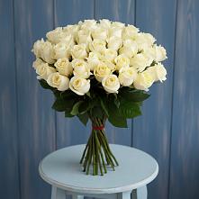 Букет 51 Белая роза Эдлесс Лав #REPLACE_PRED# Магадане