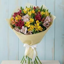 Букет цветов из:  Альстромерии #REPLACE_PRED# Магадане