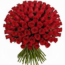 Букет Красные розы Чери Лав в Магадане